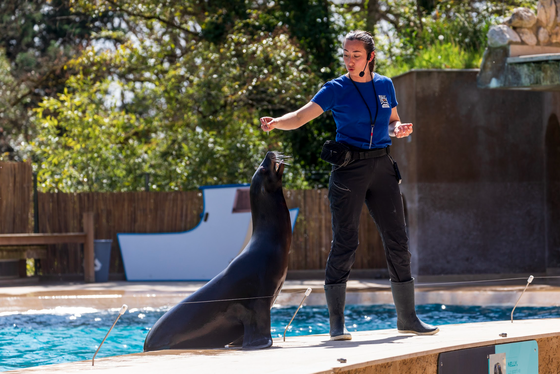 Zoos, parcs animaliers : nos sept idées de sorties à Toulouse et